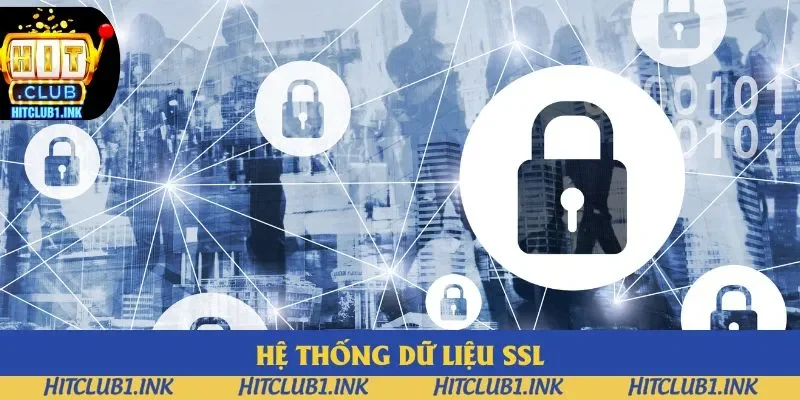 SSL là công nghệ hiện đại nhất 2025, được nhiều sân chơi áp dụng SSL là công nghệ hiện đại nhất 2025, được nhiều sân chơi áp dụng