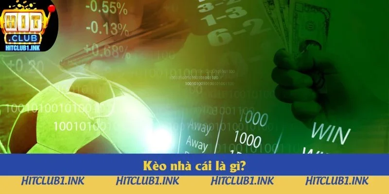 Kèo nhà cái cung cấp rất nhiều thông tin cho các hội viên của Hitcub Kèo nhà cái cung cấp rất nhiều thông tin cho các hội viên của Hitcub